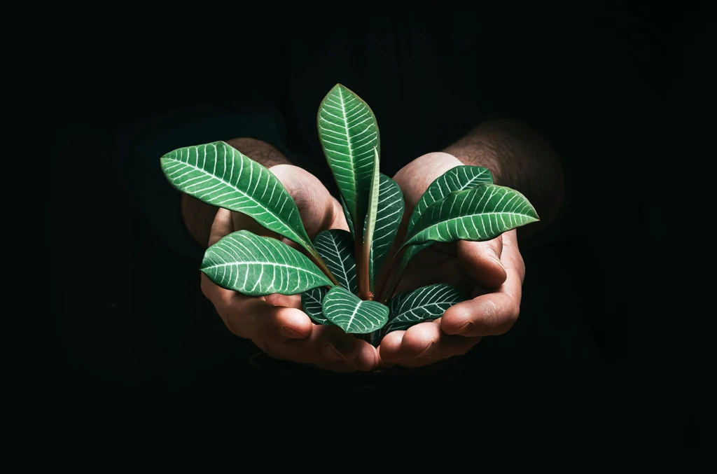 Gestec - Environmental consulting services in Spain